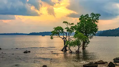 Best Time to Visit Andaman & Nicobar – Complete Guide