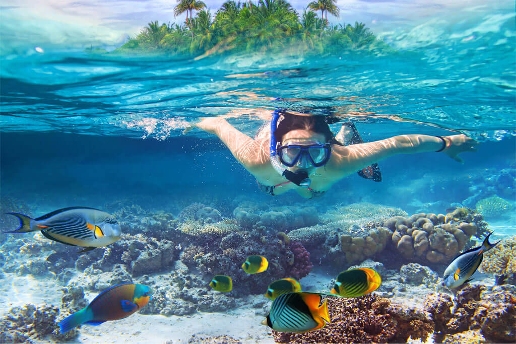 Best Andaman Snorkeling Hotspots to Explore in 2025